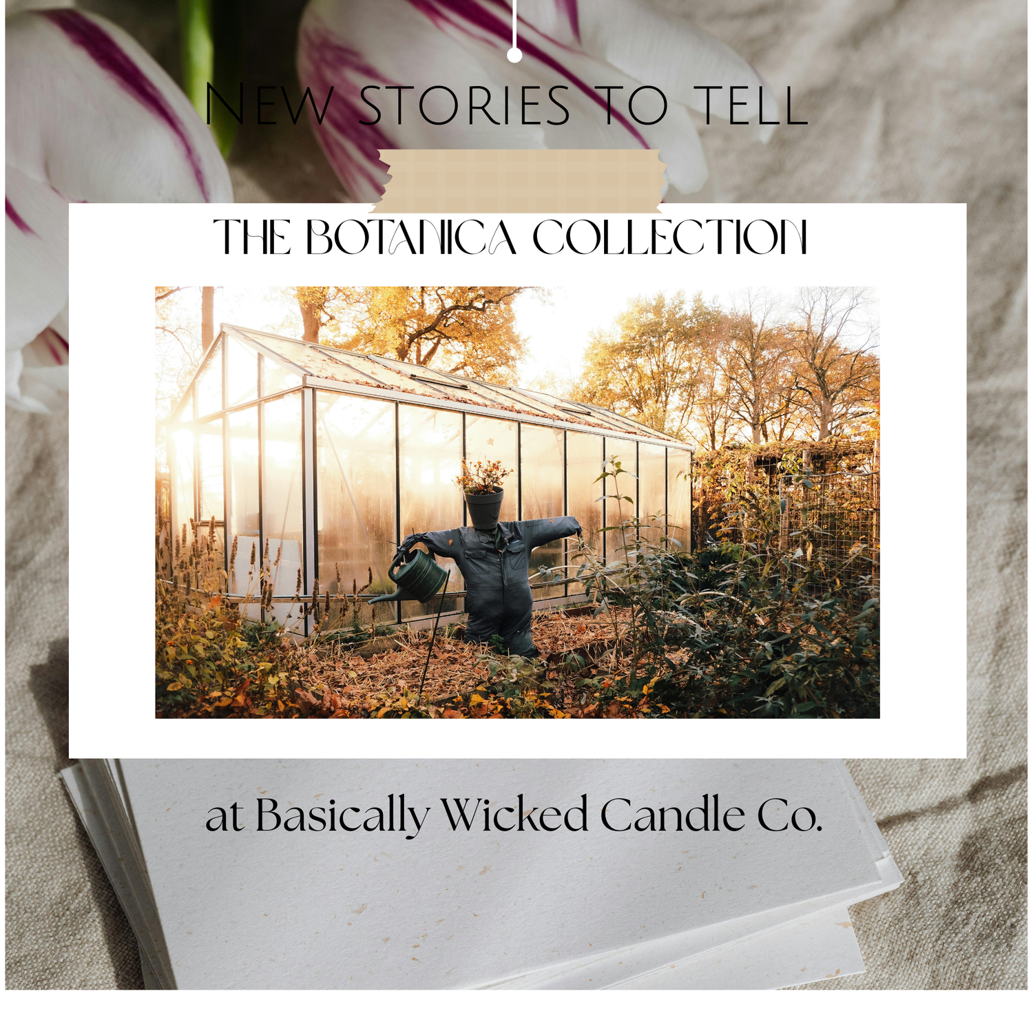 Calm + Restful - 🌿 The Botanica Collection