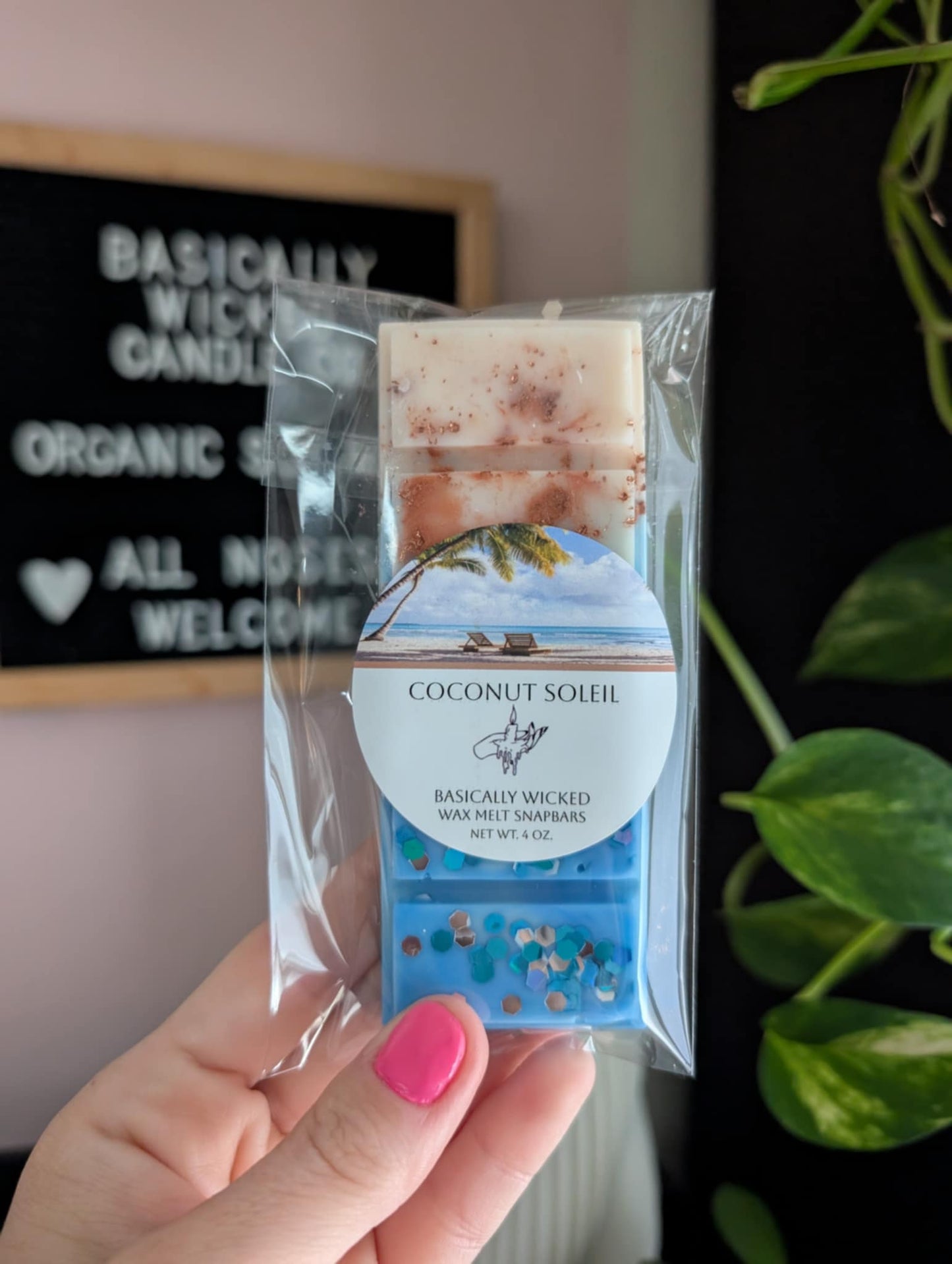 Wax Melts Snap bars