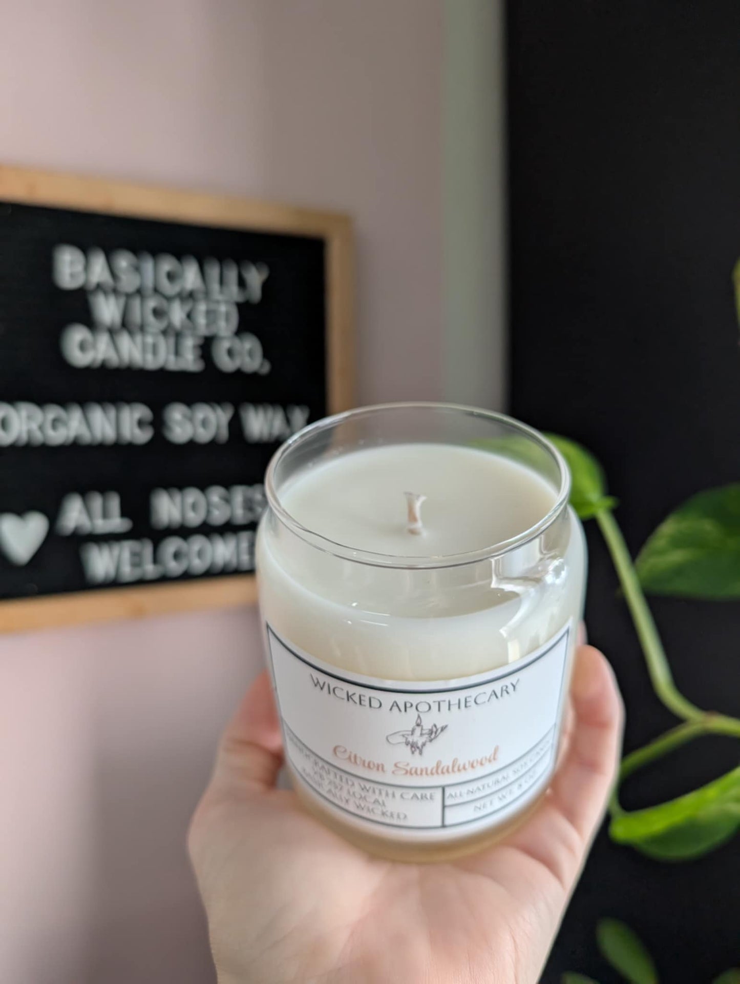 Basically Wicked Apothecary Luxury Scented Candles
