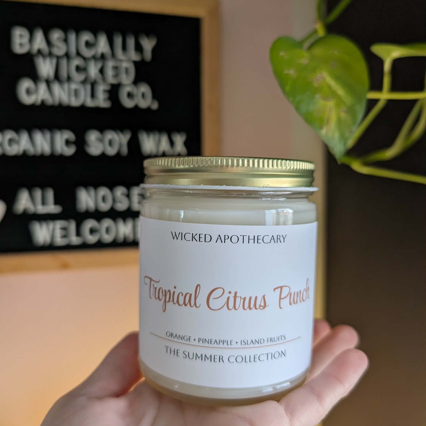 Candle labeled 'Tropical Citrus Punch' held by a hand with a store sign in the background.