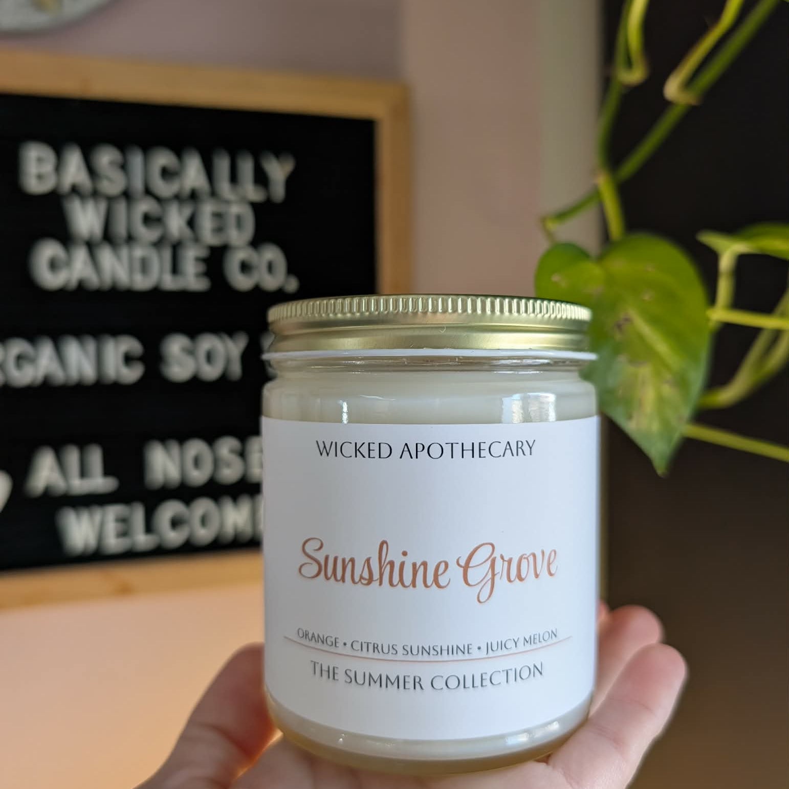Hand holding a candle labeled 'Sunshine Grove' from Wicked Apothecary in front of a store sign.