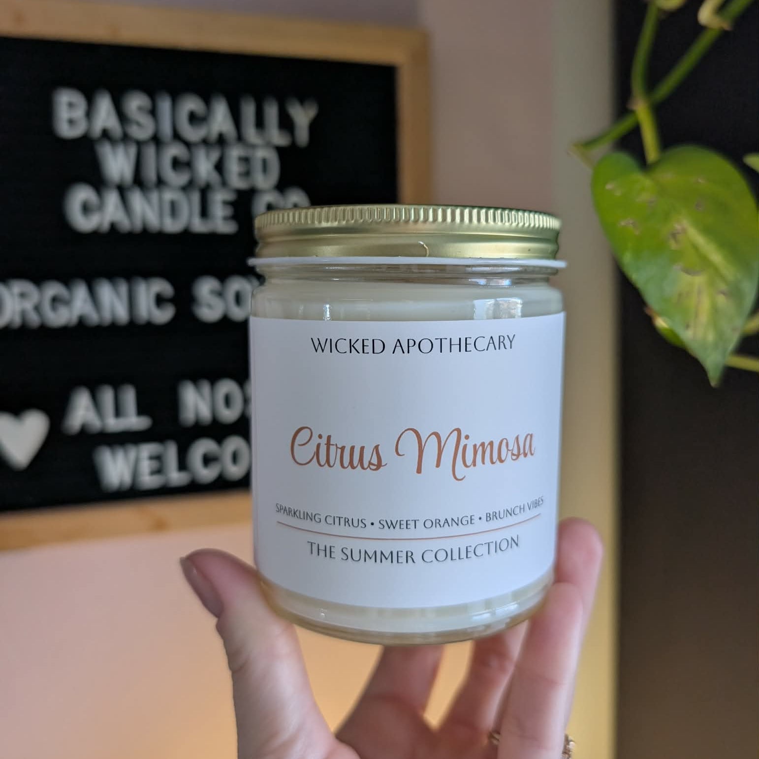 Hand holding a Wicked Apothecary Citrus Mimosa candle in front of a store sign.