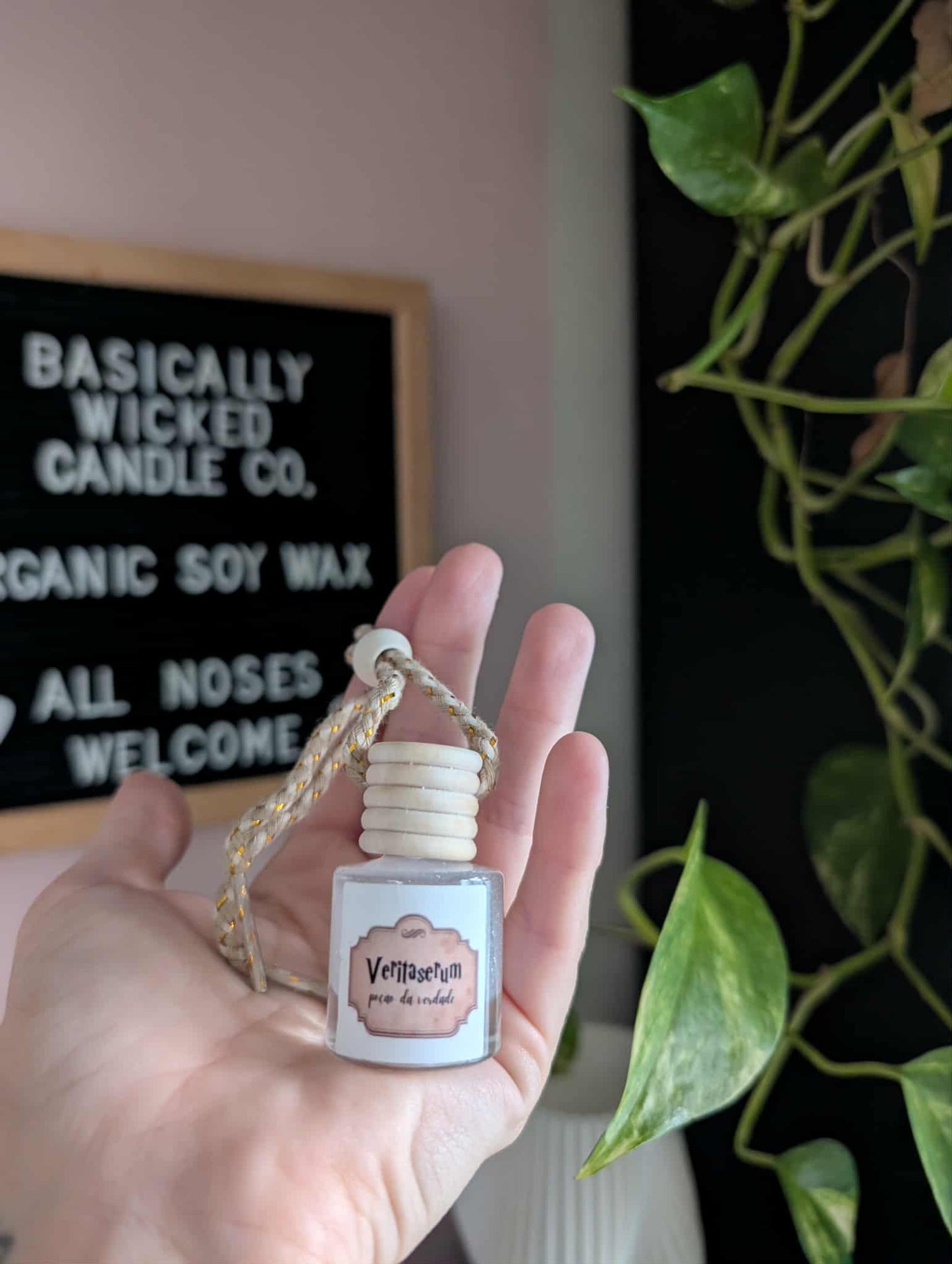 Inspired Poisons Hanging Car Diffusers